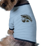 Chinese dragon statue dog shirt