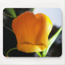 Chinese Lantern01 Mouse Mat