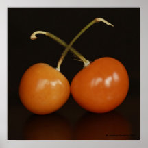 Chinese Lantern Fruit Print