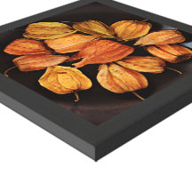 Chinese Lantern (Physalis)Fruit Wrapped Canvas Gallery Wrap Canvas