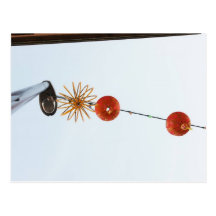 Chinese Lantern Postcard
