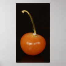 Chinese Lantern Print