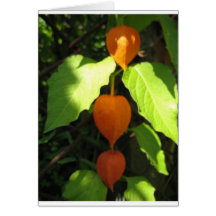 Chinese Lanterns Cards