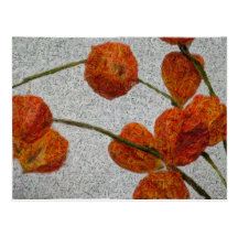 Chinese Lanterns - Postcard