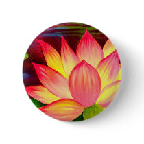 Chinese Lotus Water Lily Flower Art - Multi Pinback Buttons
