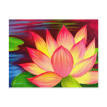 Chinese Lotus Water Lily Flower Art - Multi Post Cards
