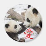 Chinese Love Pandas Fridge Magnet