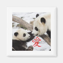 Chinese Love Pandas Refrigerator Magnet