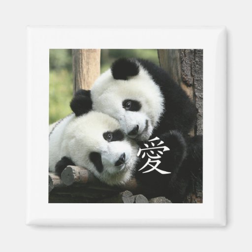 Chinese Loving Little Giant Pandas Magnet