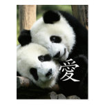 Chinese Loving Little Giant Pandas Postcard