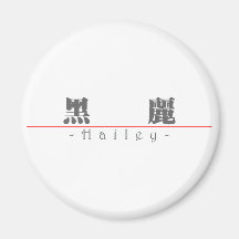 Chinese name for Hailey 21031_3.pdf Fridge Magnet