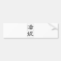 Chinese name for Penny 20288_2.pdf Bumper Stickers