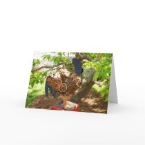Chinese New Year Cards