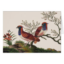 Chinese Pheasants Greeting Card
