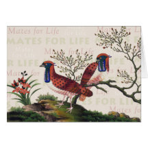Chinese Pheasants Valentine's Day Card