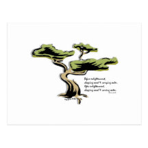 Chinese Proverb Post Card