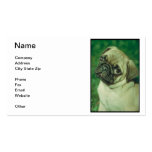 Chinese Pug Business Card