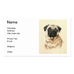 Chinese Pug Business Card