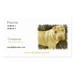 Chinese Shar Pei Business Card business cards