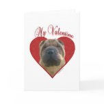Chinese Shar Pei My Valentine Cards