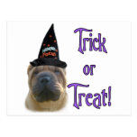 Chinese Shar-Pei Trick Postcard
