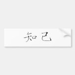 Chinese Symbol for soul mate Bumper Sticker