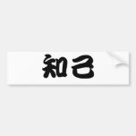 Chinese Symbol for soul mate Bumper Stickers