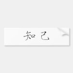 Chinese Symbol for soul mate Bumper Stickers