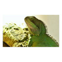 Chinese Water Dragon Business Cards