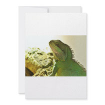 Chinese Water Dragon Custom Invites
