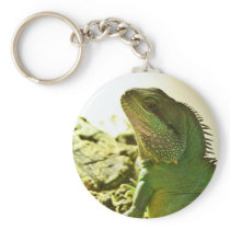Chinese Water Dragon Keychain