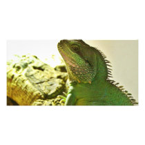 Chinese Water Dragon Customized Photo Card