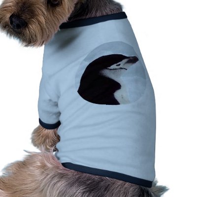 Chinstrap Penguin Portrait Dog Shirt by KevOzDotCom