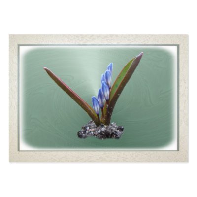 Chionodoxa 62 ~ ATC Business Card by Andy2302
