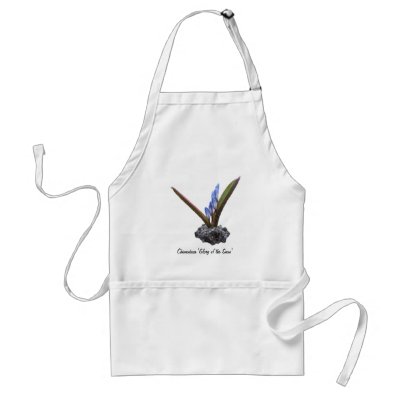 Chionodoxa  ~ apron by Andy2302