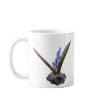 Chionodoxa flower ~ Mug