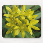 Chionodoxa Mousepad