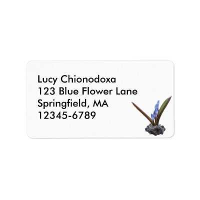 Chionodoxa plant ~ labels by Andy2302