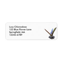 Chionodoxa plant ~ labels