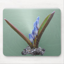 Chionodoxa swirl ~ mousepad