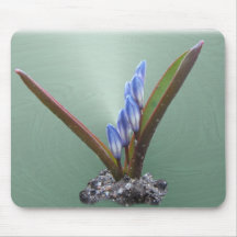 Chionodoxa swirl ~ mousepad