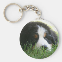Chiot de Bernese Porte-clés