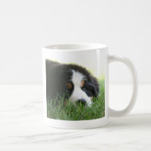 Chiot de Bernese Tasse À Café