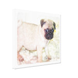 Chiot de carlin toiles tendues