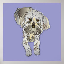 Chiot de Maltipoo Posters