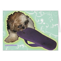 Chiot de Pochi et bascules pourpres Carte De Vœux