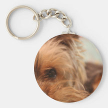 chiot de yorkie de tasse de thé porte-clefs