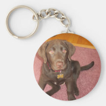 Chiot Keychain de Labrador de chocolat Porte-clefs
