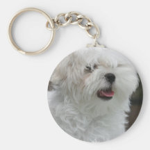 Chiot maltais blanc Keychain Porte-clefs