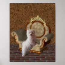 Chiot maltais sur l'affiche de chien de chaise